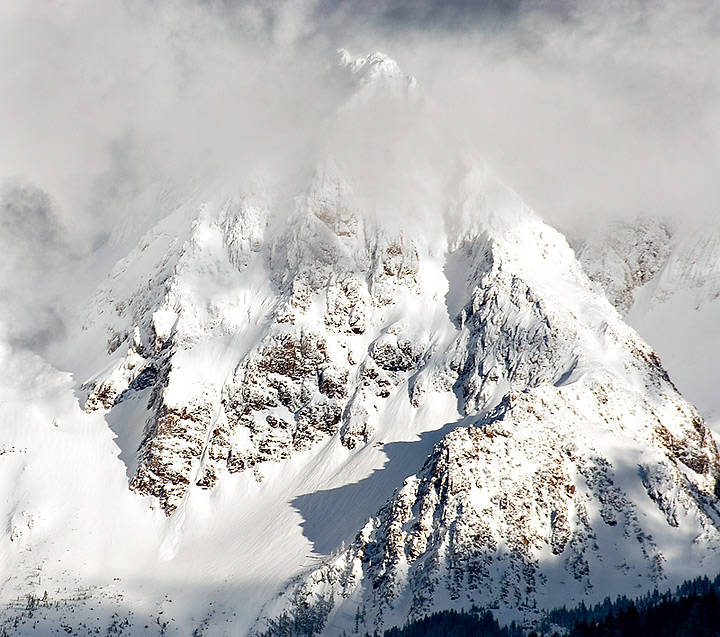 Cascade Majesty