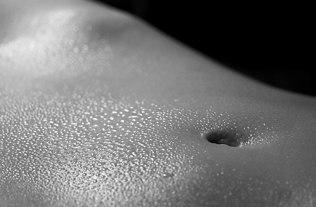 Umbilicus