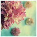 Faux Fleur