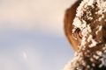 SnowEyes