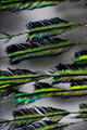 Peacock Strands