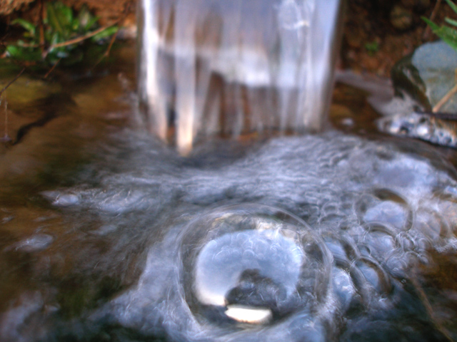 That Bubbly Feeling