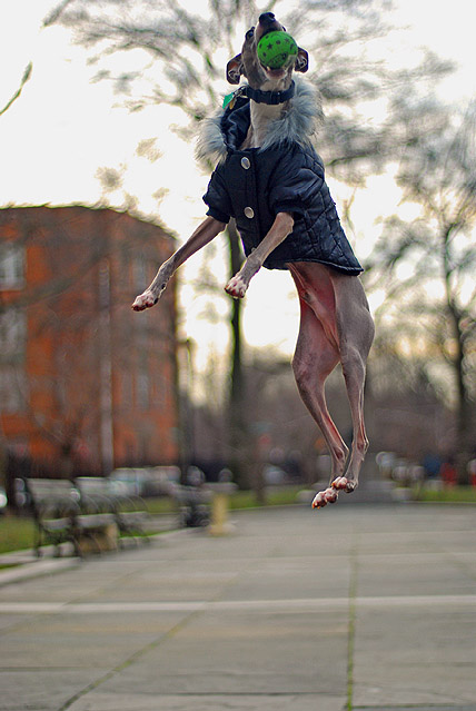 Leaps and Bounds