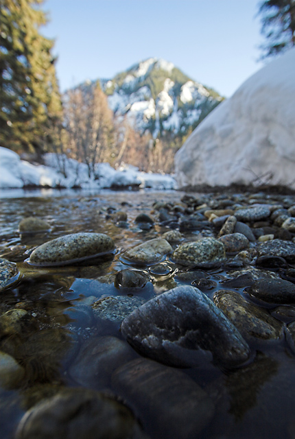 Winter Stream