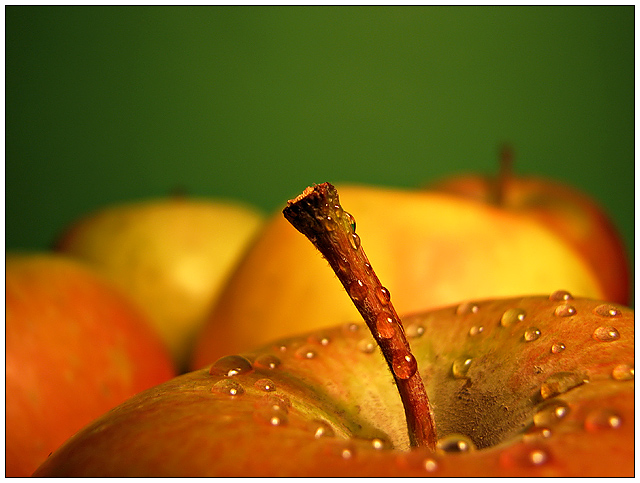 Fruit Fiesta