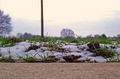 A Bug's Eye View