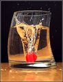 Maraschino