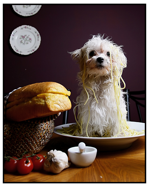 Chef's Apprentice