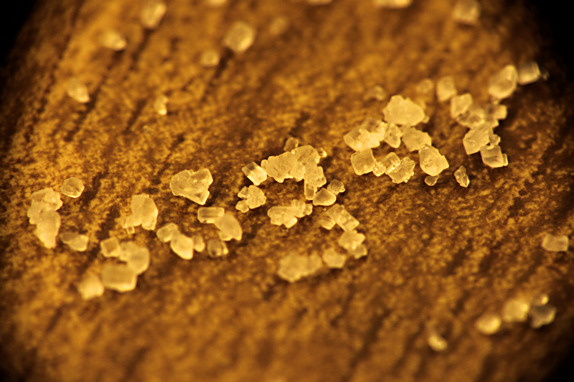 Table Sugar