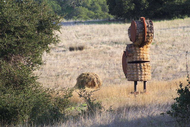 Makin' Hay