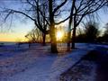 snowy morning
