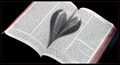 John 3:16