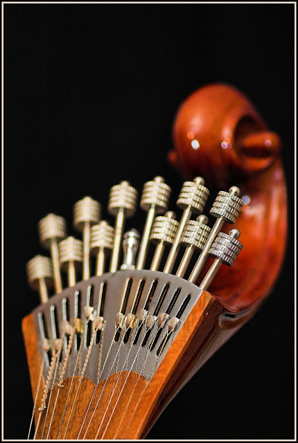 A Luthier's Art
