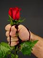 . . . There Be Thorns