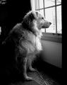 A new world just beyond the glass