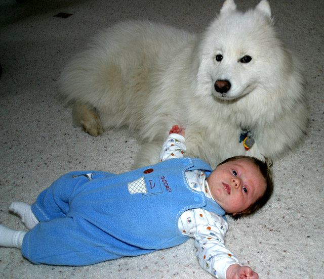 A Baby Boy and His Dog (who ate the flower!)