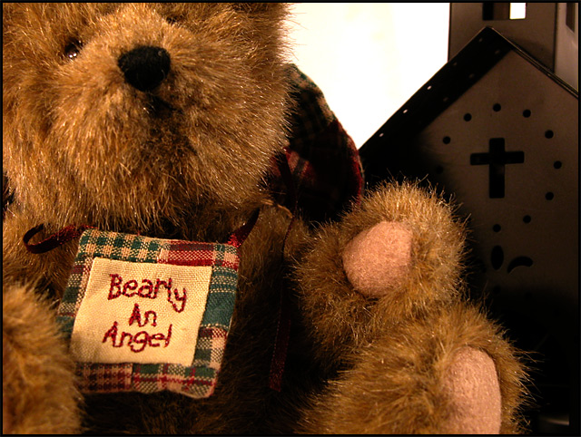 Bearly an Angel!