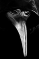 Black Death