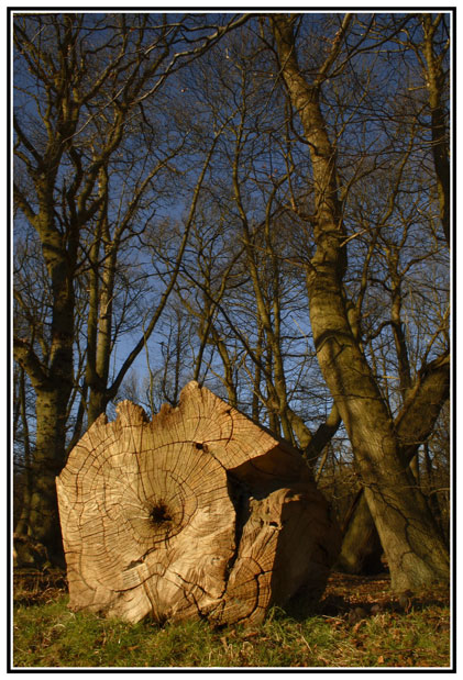 Death of a Giant