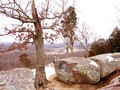 Graffiti in Nature