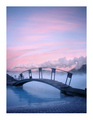 The bridge