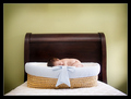 Do Not Disturb