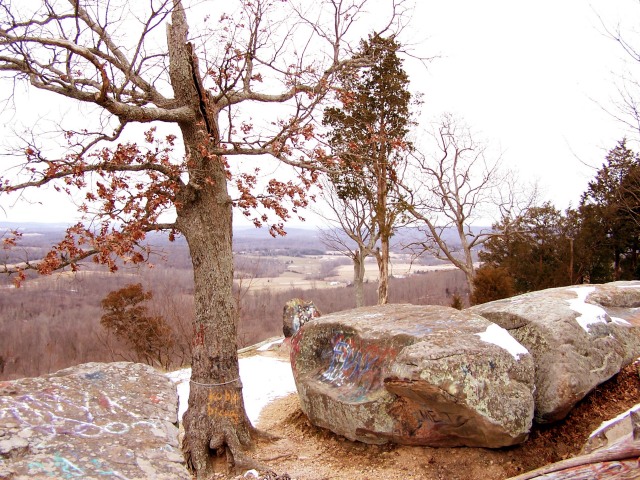 Graffiti in Nature