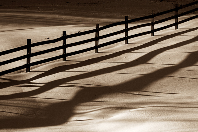 The Fence Line