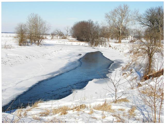 Winter Beauty