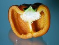 Bell Pepper