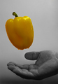 Yellow Bell Pepper