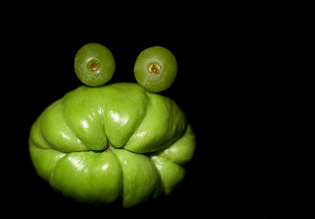 Ribbit