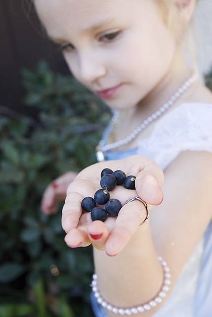 Eight Berries Picked by a Princess