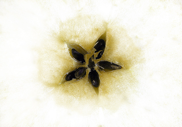 ...seeds...