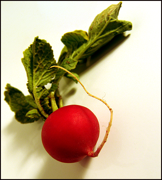 Simply Radish