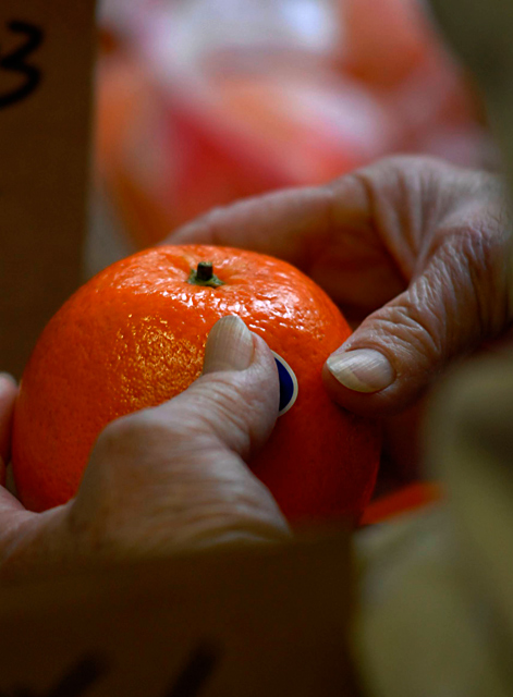 Chinatown Orange