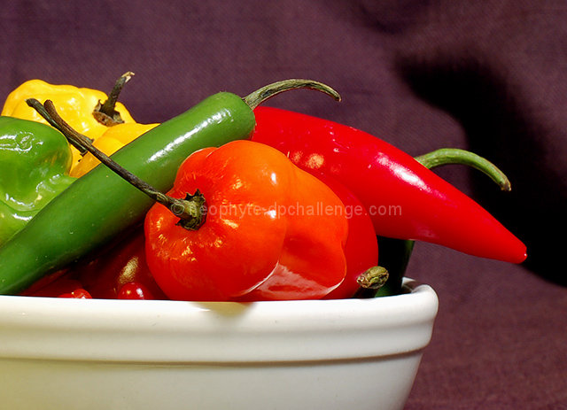 Bowl of Chili