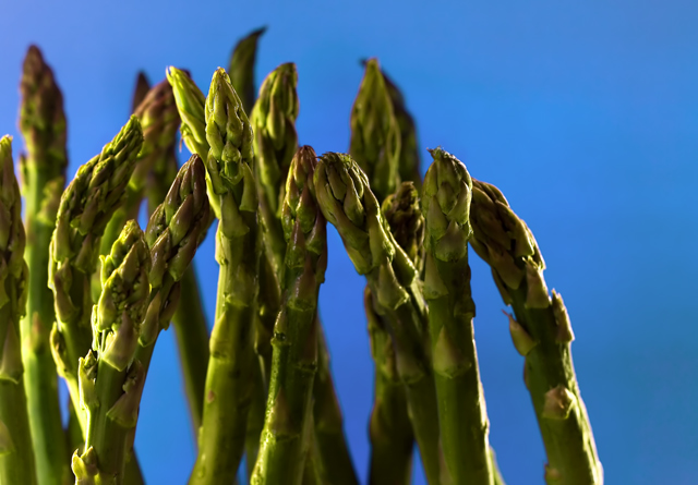 Asparagus Gathering