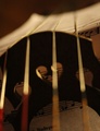 The Colors of Music