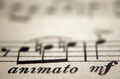 Animato