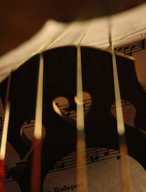 The Colors of Music