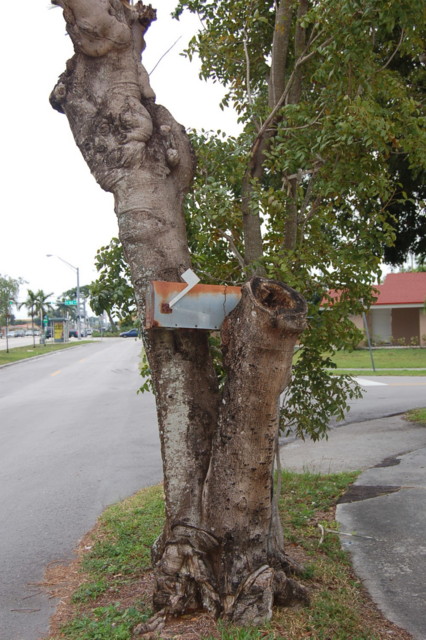 Psycho Mailbox