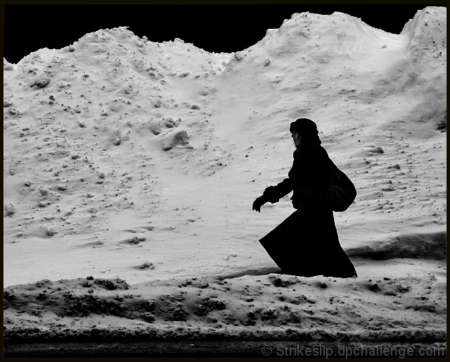 Lady in Black