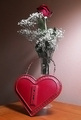 Opening my heart again...