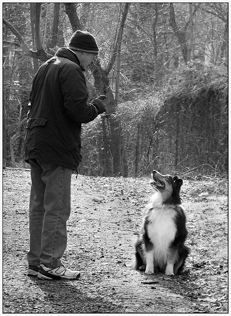 My Master's Voice