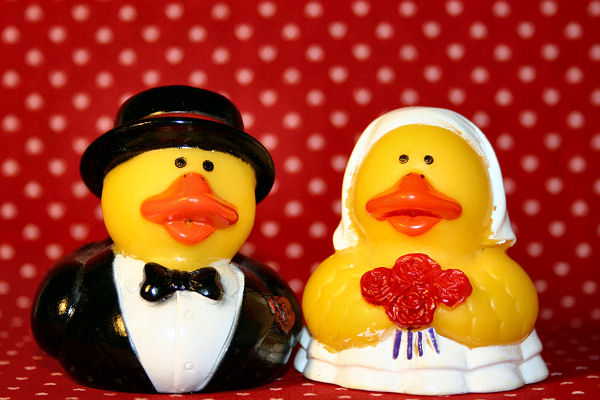 Introducing Mr. and Mrs. Donald Duckworth!