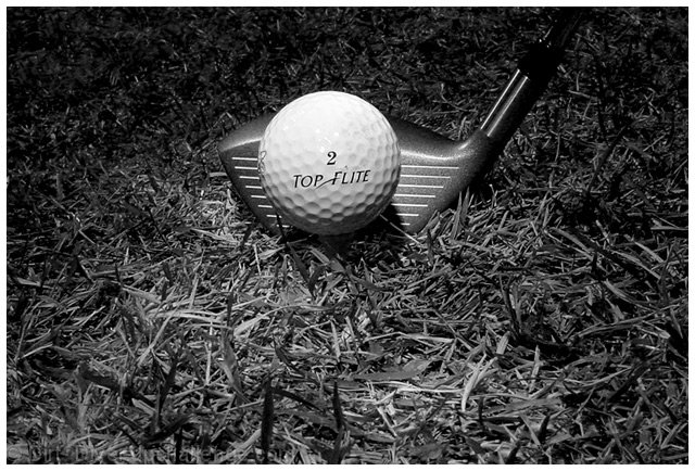 The Love of Golf!