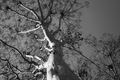 As Spring Begins
