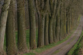 Following the path