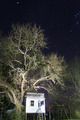 Starry Night at the Treehouse